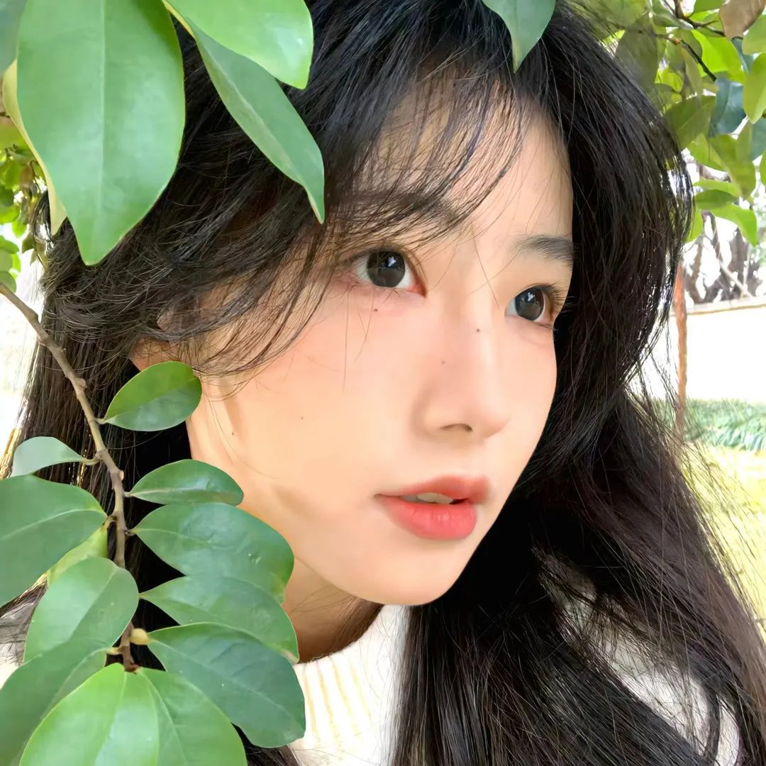 初生之犊 海报
